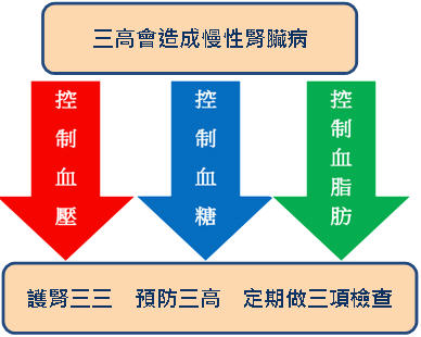 建立七大法寶　確保腎利人生！