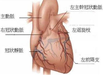 過勞？呼吸困難？小心心臟衰竭！