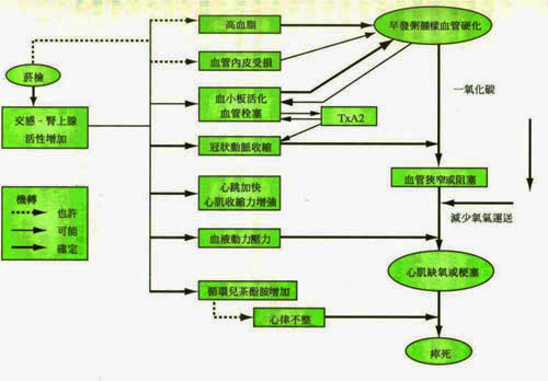 菸癮帶來病痛！　藝人趙舜籲青年學子拒吸菸