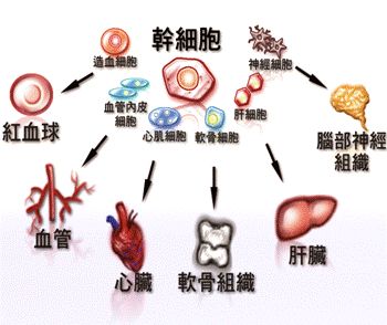 漸凍人勇敢發聲　就像活在第十九層地獄