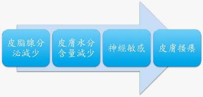 冬季搔癢　彷彿皮膚上有蟲爬