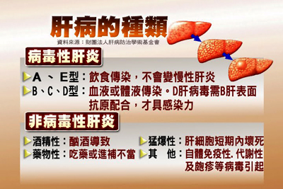 有效B、C肝抗病毒藥物治療　降低肝硬化、肝癌發生率