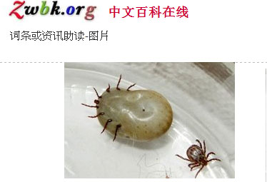 眼睛肿块竟然会动 竟是虫在皮下爬
