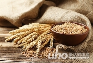 減輕腸胃發炎　混種小麥少吃