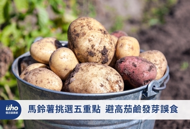 馬鈴薯挑選五重點　避高茄鹼發芽誤食
