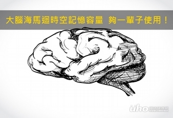 大腦海馬迴「時空記憶容量」夠一輩子使用！