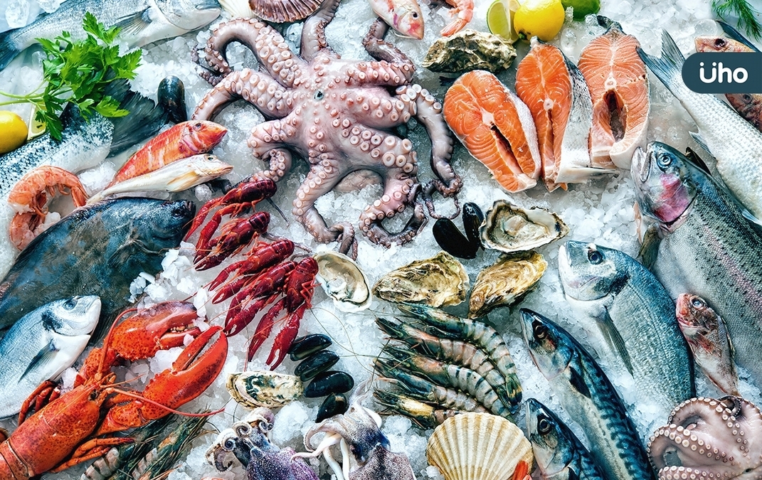 吃海鮮怎麼挑最鮮？魚蝦貝軟足「低脂海鮮」教你這樣吃優質蛋白質