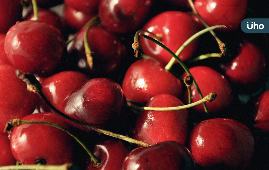 吃櫻桃可以補血？櫻桃功效禁忌一次看：教你「1口訣」挑櫻桃才新鮮