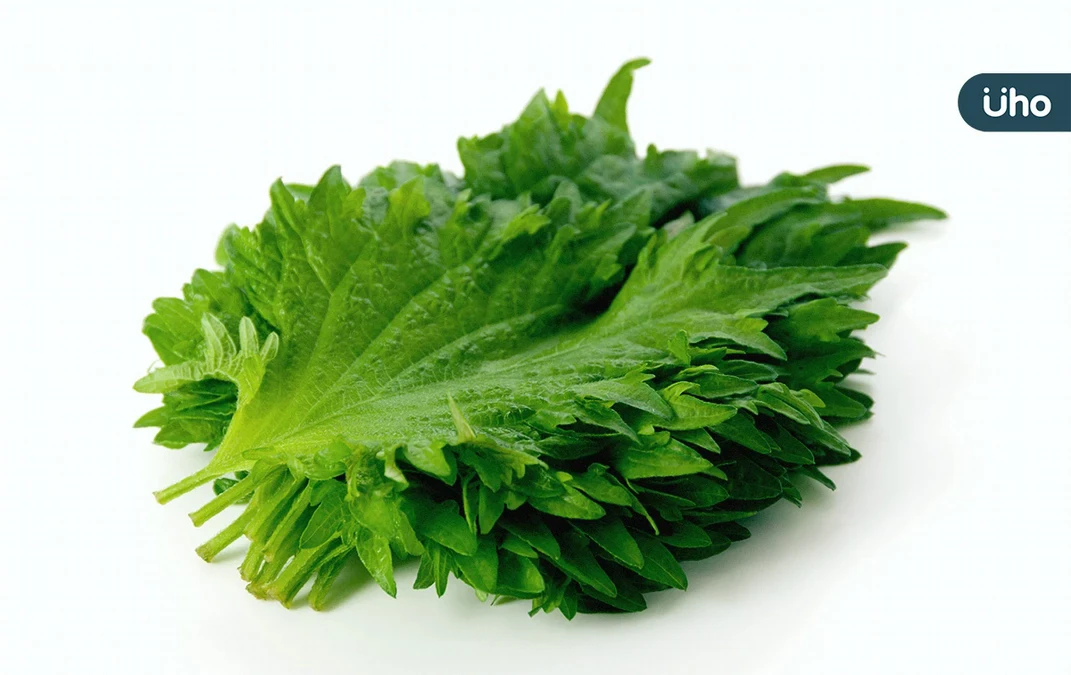 韓國芝麻葉是紫蘇嗎？芝麻葉、芝麻差在哪？營養師解析品種差異懶人包