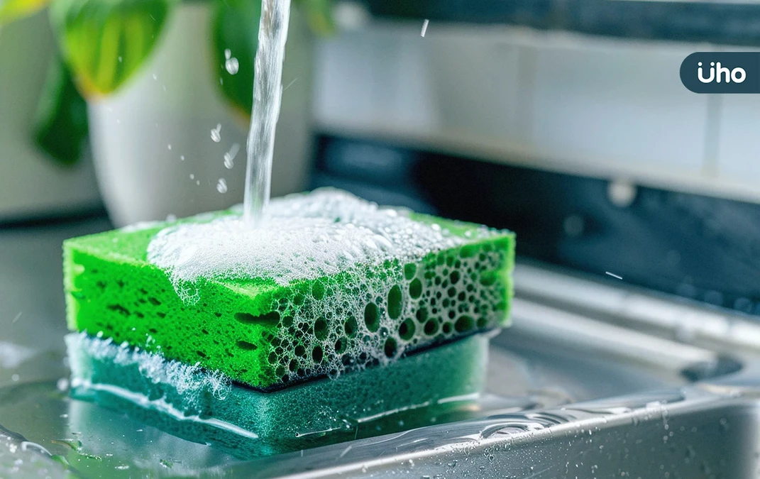 別再用海綿洗碗！研究揭「細菌密度等同糞便」醫建議換成1物更衛生