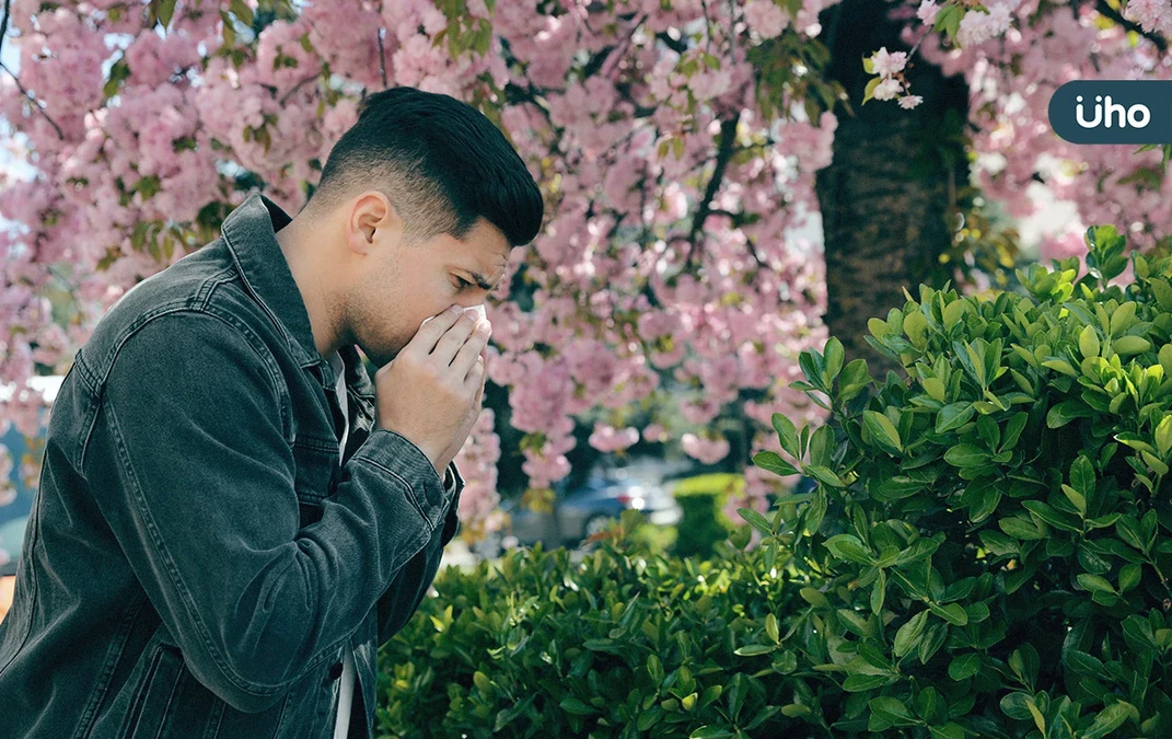 有食譜》防春睏、過敏⋯驚蟄養生吃什麼？醫推「4款藥膳」養肝調血氣