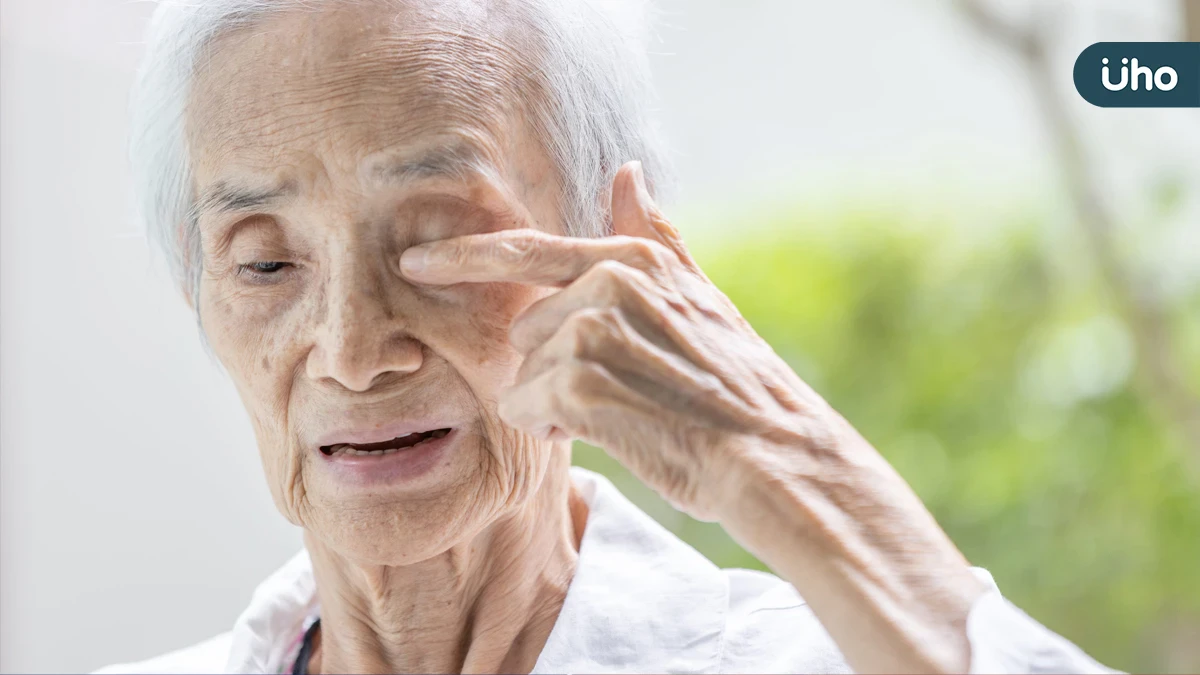 打破黃斑部病變盲區  北市聯醫推「偏心訓練」 教導眼睛「繞道而行」找回生活視野