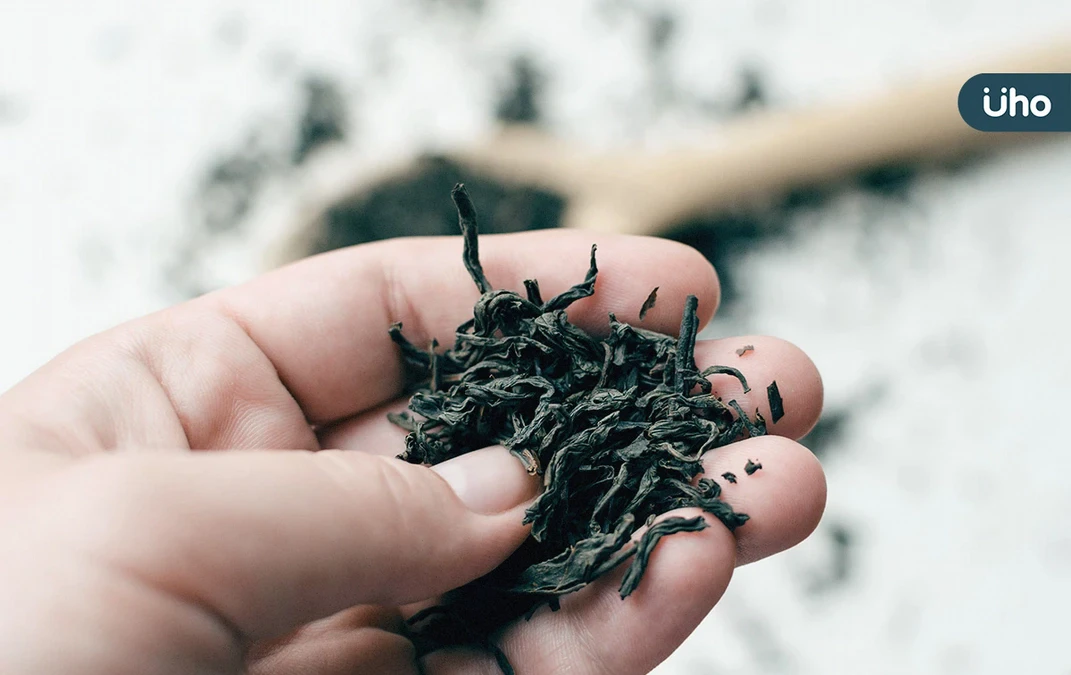 泡完茶別急著丟！3道「茶葉渣」隱藏版食譜：把7成營養吃進體內