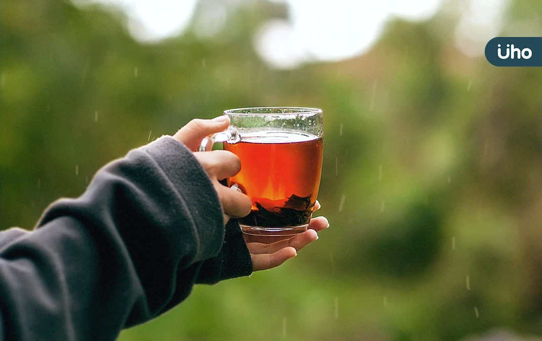 無糖茶當水喝好嗎？毒物專家警告「茶喝太多」3風險：反而會便秘