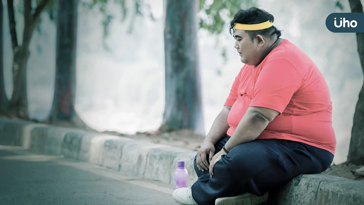減肥越努力越卡關？其實是脾虛在求救——中醫揭開「吃太少反而瘦不下來」的真相