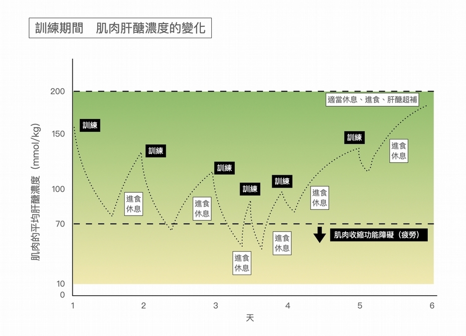影響肝醣代謝的因素、要吃多少?