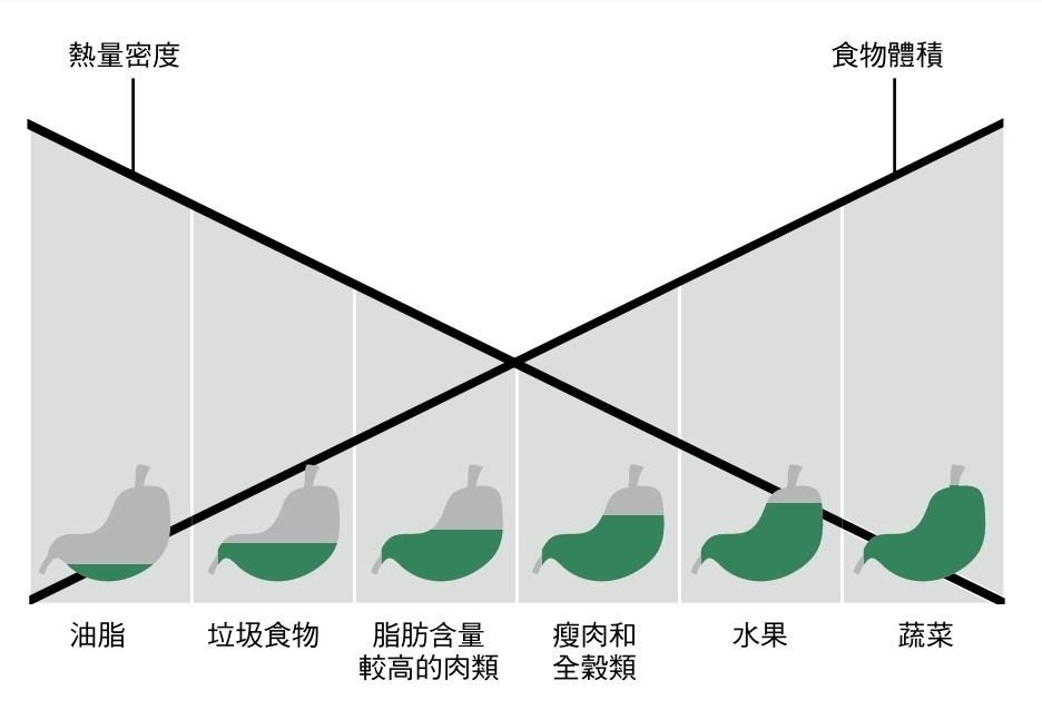選擇體積大的食物