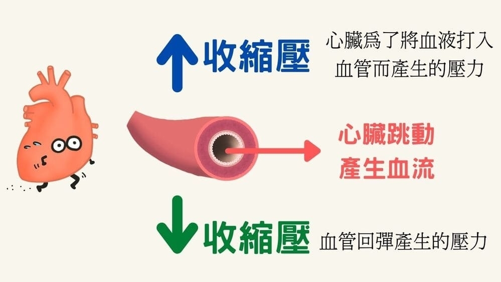什麼是血壓？