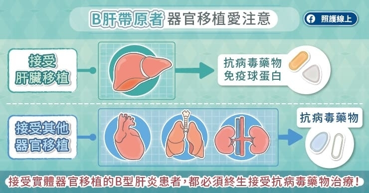 B肝帶原者,器官移植愛注意