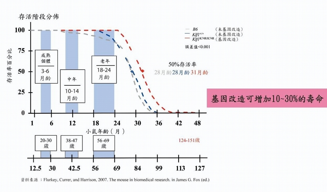 基因改造成功延長老鼠壽命