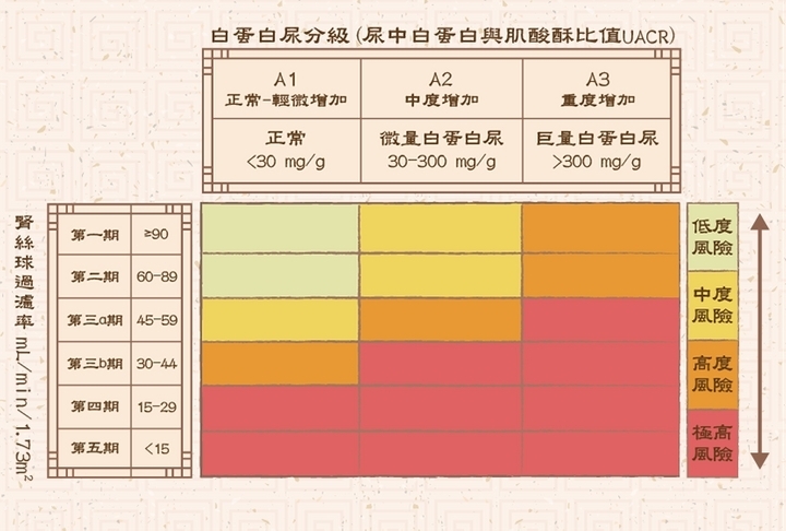 我有慢性腎臟病嗎？簡單2檢查知道