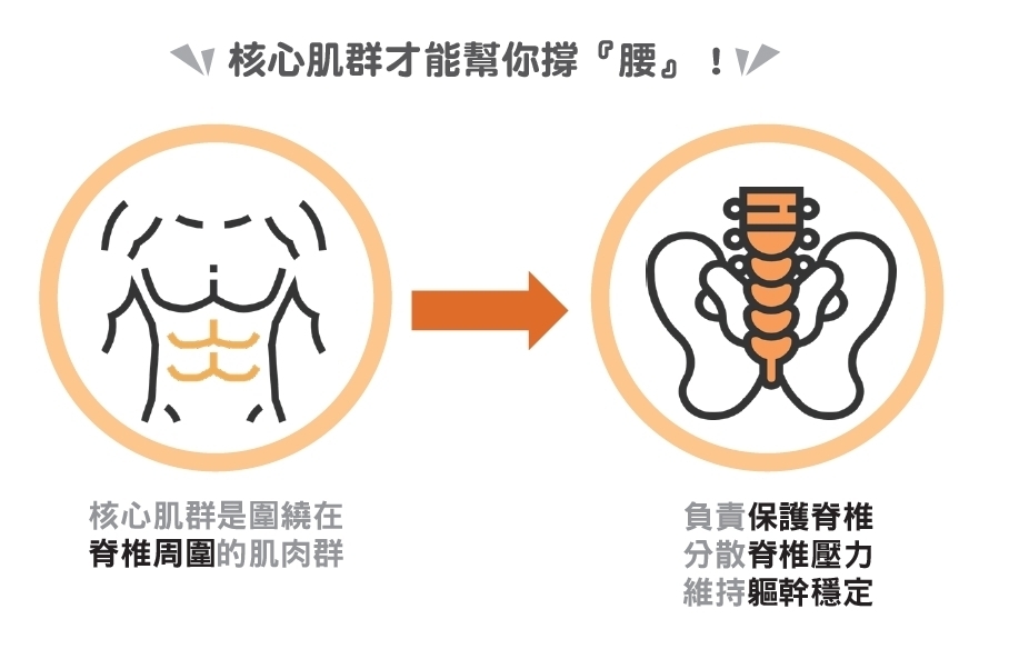 為什麼下背痛需要練核心?