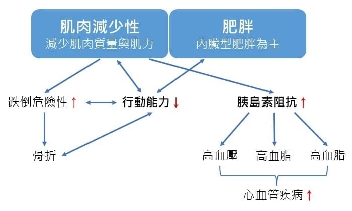 老化與肌肉