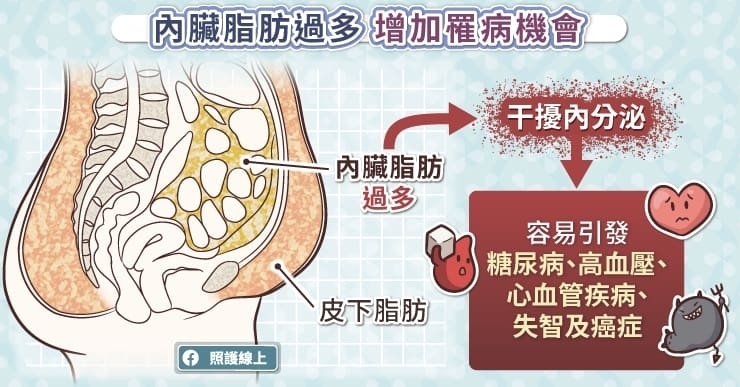 蘋果型不好嗎？