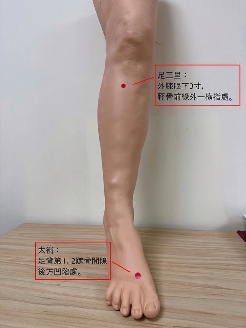 胃食道逆流如何舒緩？中醫：吃牡蠣、山楂⋯按「這4穴位」也有用