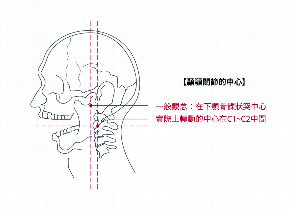 平衡覺失調可能引起暈眩