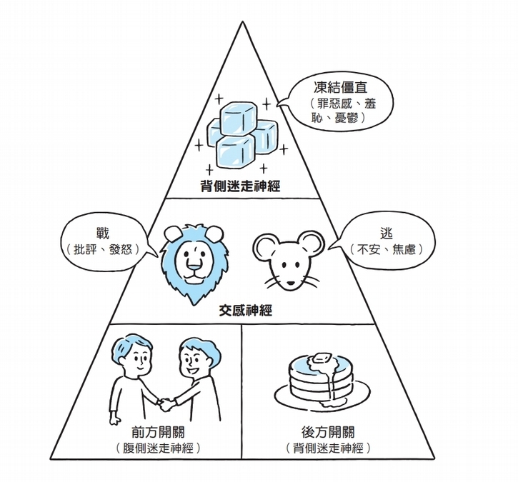 副交感神經的應用