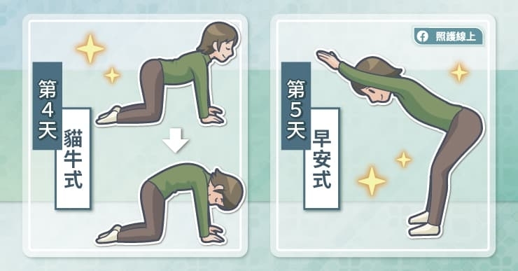 有圖解》2週練出好體態！超簡單「14種伸展操」每天10分鐘就有效