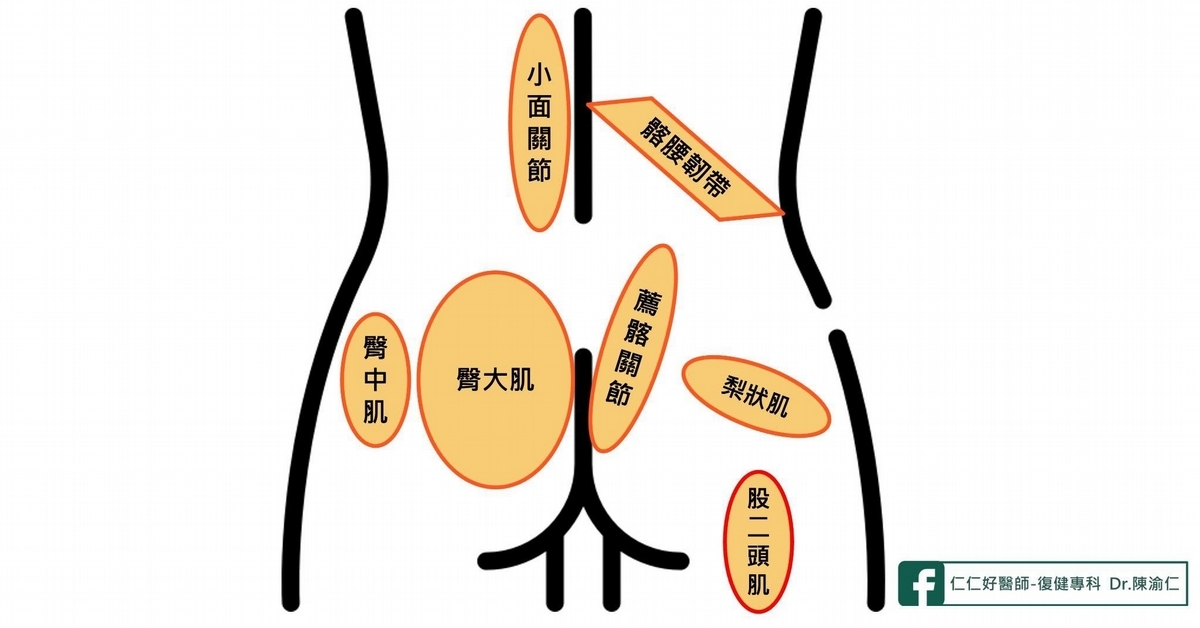 騎單車姿勢錯不只傷膝蓋、腰椎！醫列常見「單車運動傷害」3招復健