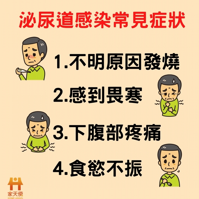 泌尿道感染常見症狀