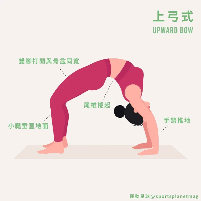 每小時消耗熱量180大卡！懶人速學「居家瑜珈」9招打造S型曲線