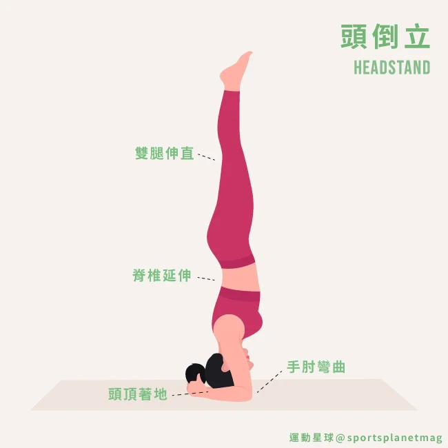 每小時消耗熱量180大卡！懶人速學「居家瑜珈」9招打造S型曲線