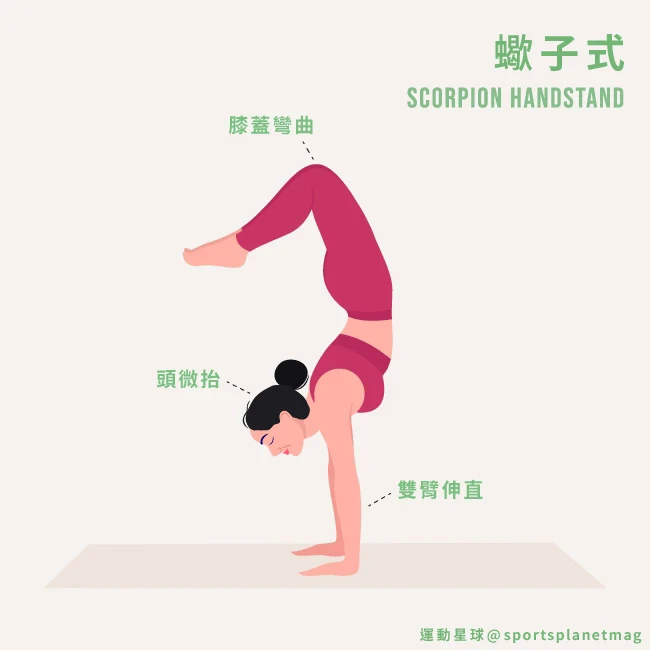 每小時消耗熱量180大卡！懶人速學「居家瑜珈」9招打造S型曲線