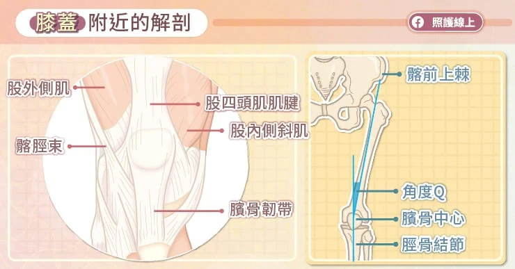 年輕人「膝蓋痛」竟是肌肉無力？教你「11種護膝運動」免器材能練