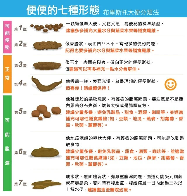 便便像羊大便、香腸都是便秘