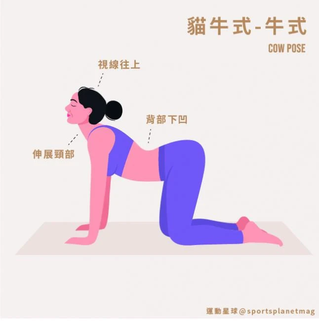 有圖解》脹氣好痛苦？教你居家9招「溫和瑜珈」：促進消化、改善便祕