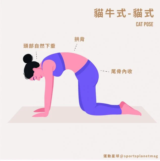 有圖解》脹氣好痛苦？教你居家9招「溫和瑜珈」：促進消化、改善便祕