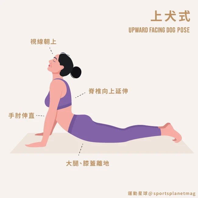 有圖解》脹氣好痛苦？教你居家9招「溫和瑜珈」：促進消化、改善便祕