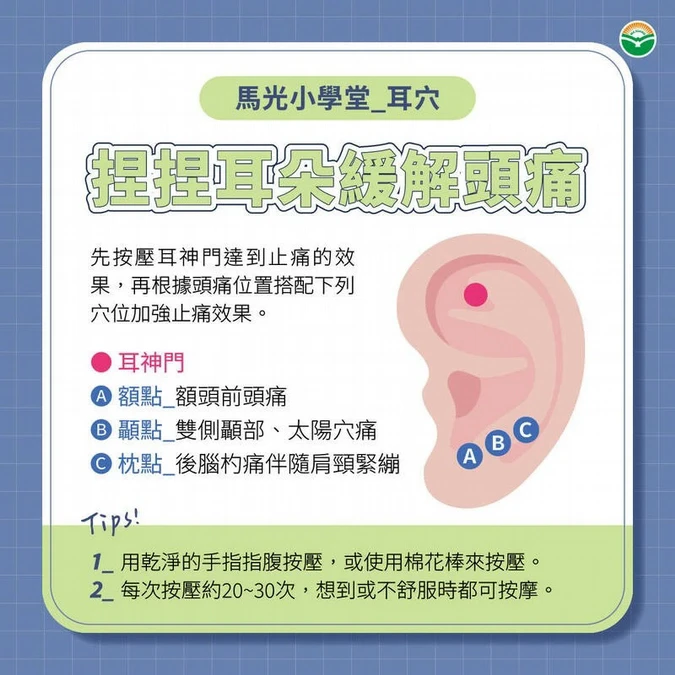 臨床常見疾病　耳穴治療方式