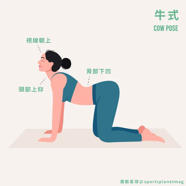 有圖解》偏頭痛發作只按太陽穴？教你9招「療癒瑜珈」放鬆緊繃神經