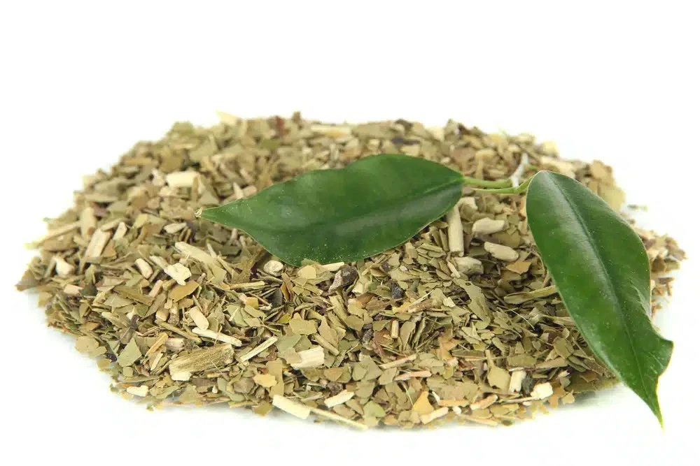 綠瑪黛是什麼?