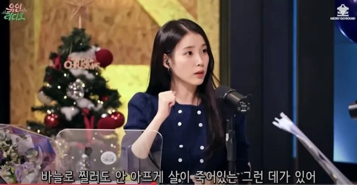 IU：我最恨的就是蚊子！
