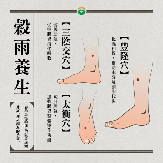 每天按摩「除濕3穴位」