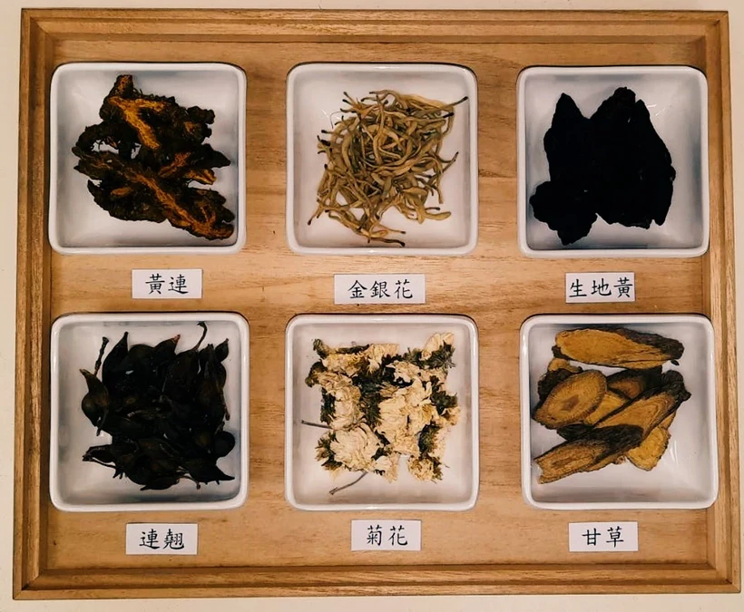 6大中藥降體內火氣