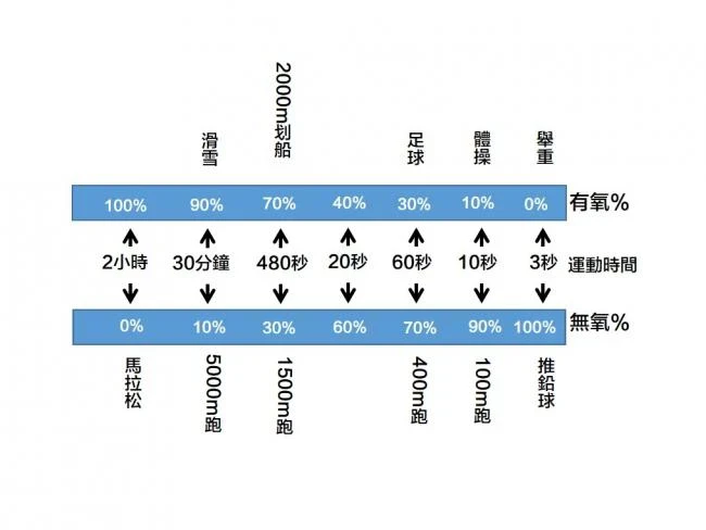 運動強度與脂肪關聯