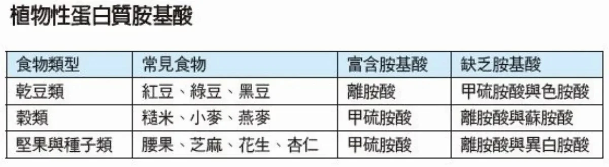 吃素如何補蛋白質？
